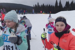Zawody w narciarstwie biegowym